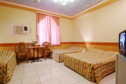 Great wild goose guest 123.jpg (123 units place tuple 2F star light six human of room)